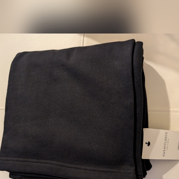 Aritzia Cozy Fleece Perfect Banded Wide Sweatpant Small NWT - Picture 9 of 10